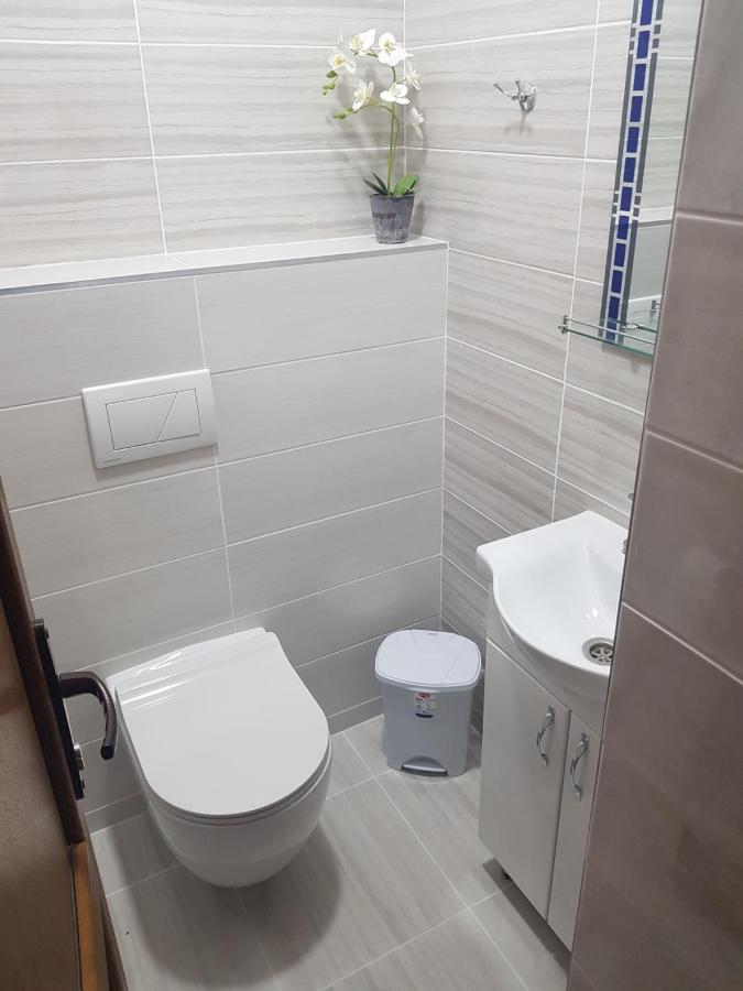 Kiki'S Villa Codru Екстериор снимка